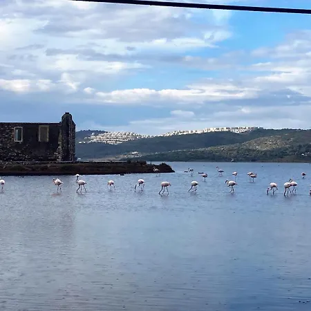 Bodrum Sea View With Access To Private Villa Bogazici