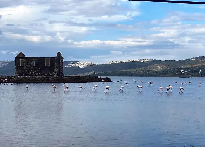 Bodrum Sea View With Access To Private Villa Boğaziçi